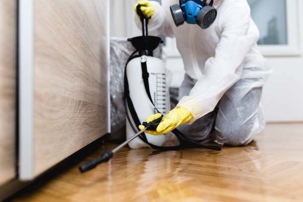 Best Emergency Pest Control  in Mount Hore, WI