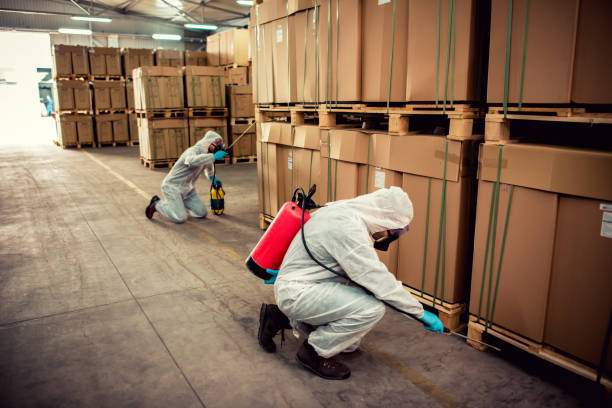 Best Exterminator Services  in Mount Hore, WI