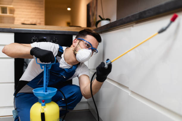 Best Wasp Removal Services  in Mount Hore, WI