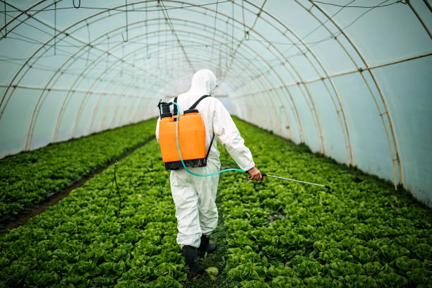 Best Pest Removal Services  in Mount Hore, WI