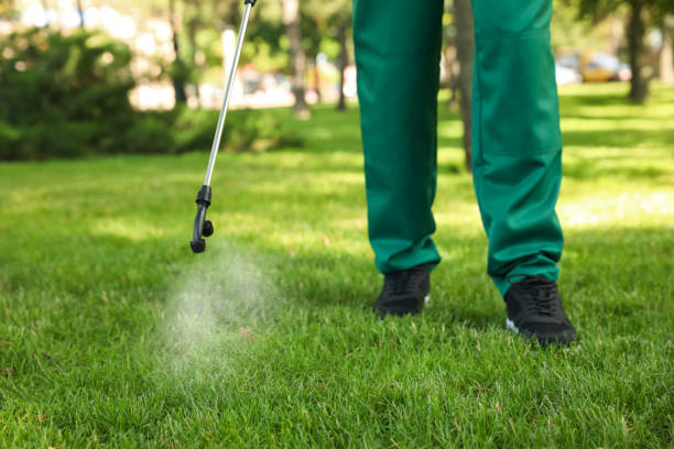 Best Pest Prevention Services  in Mount Hore, WI