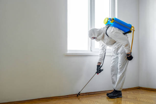 Mount Hore, WI Pest Control Company